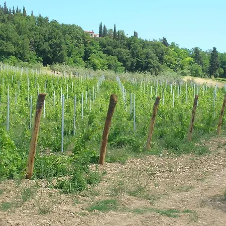 Podere Ghiole Bauernhof *