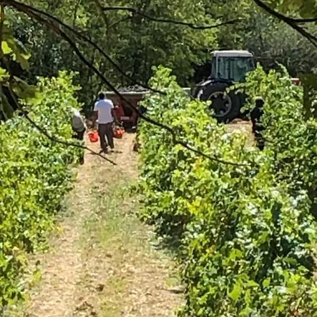 Podere Ghiole Montespertoli