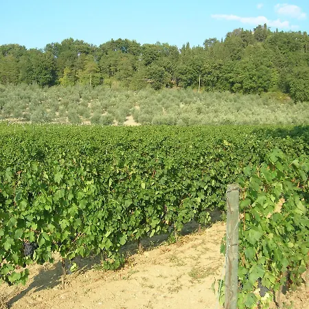 Bauernhof Podere Ghiole *